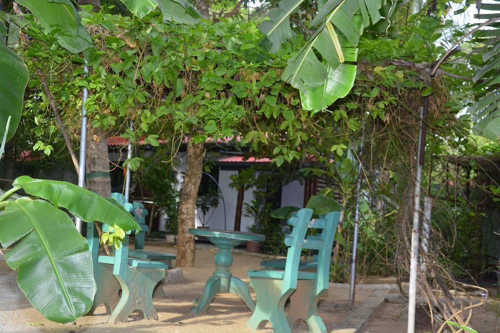 Livinginn Polonnaruwa Eksteriør billede
